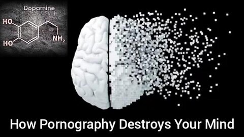 How Pornography Destroys Your Mind (Pax Tube)
