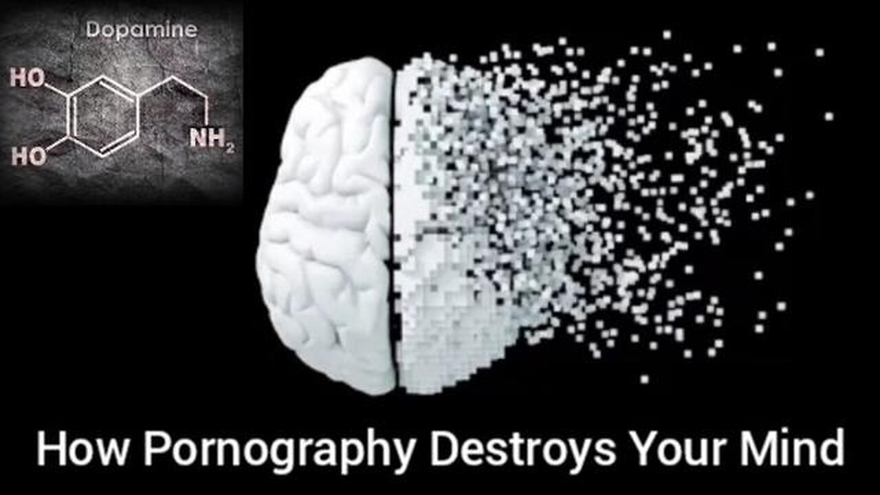 How Pornography Destroys Your Mind (Pax Tube)