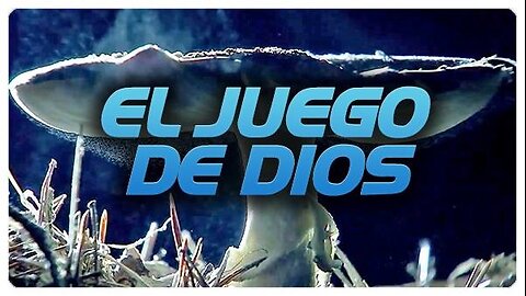 Evolucion, el juego de Dios - Documental