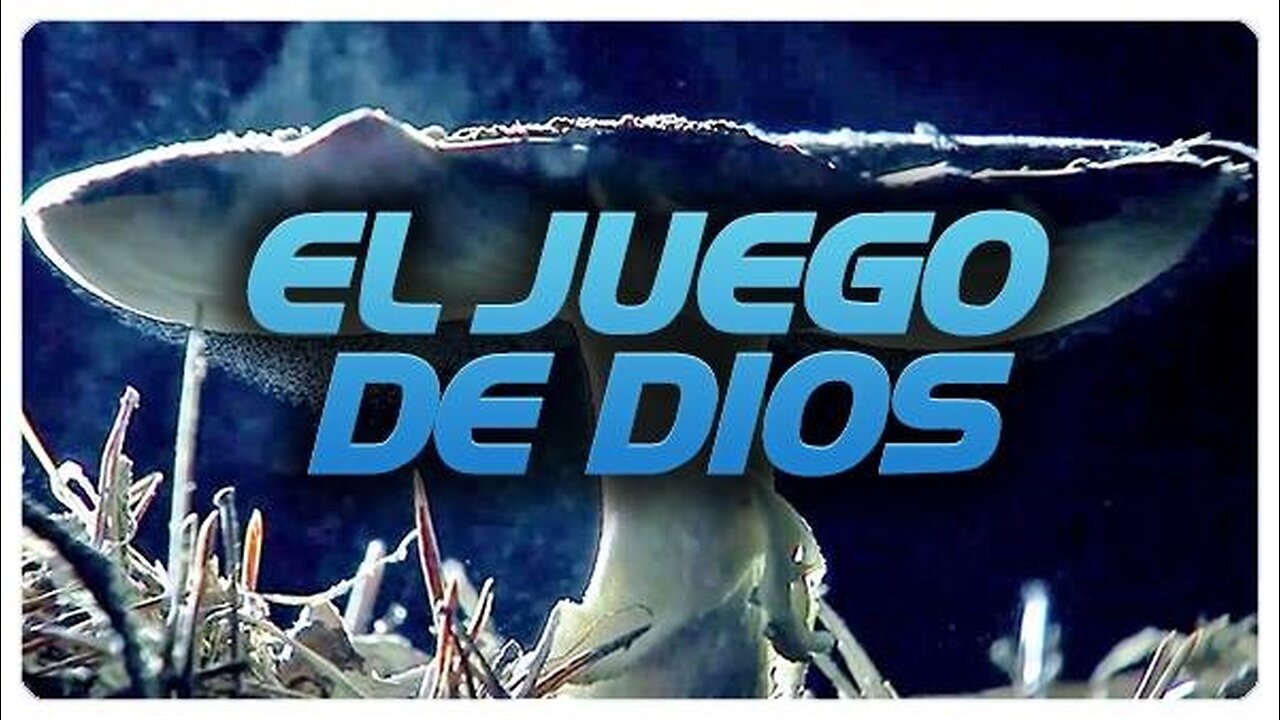 Evolucion, el juego de Dios - Documental