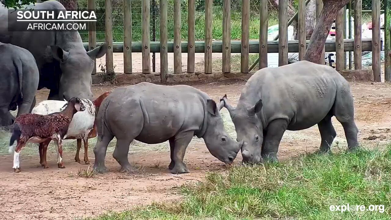 Around The World In 175 Cameras