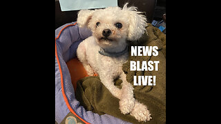 Thanksgiving 2025 News Blast with Tony D, Little Joan and Guest Dog, Stella!