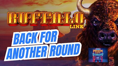 Buffalo Link 🎰🦌🎰