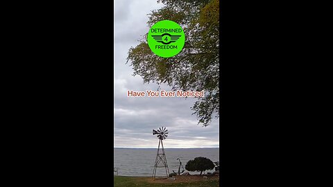 Have You Ever Noticed...