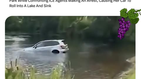 Anti-ICE Protester In Upton, MA Forgets To Park SUV During Arrest, Car Rolls Into Lake And Sinks