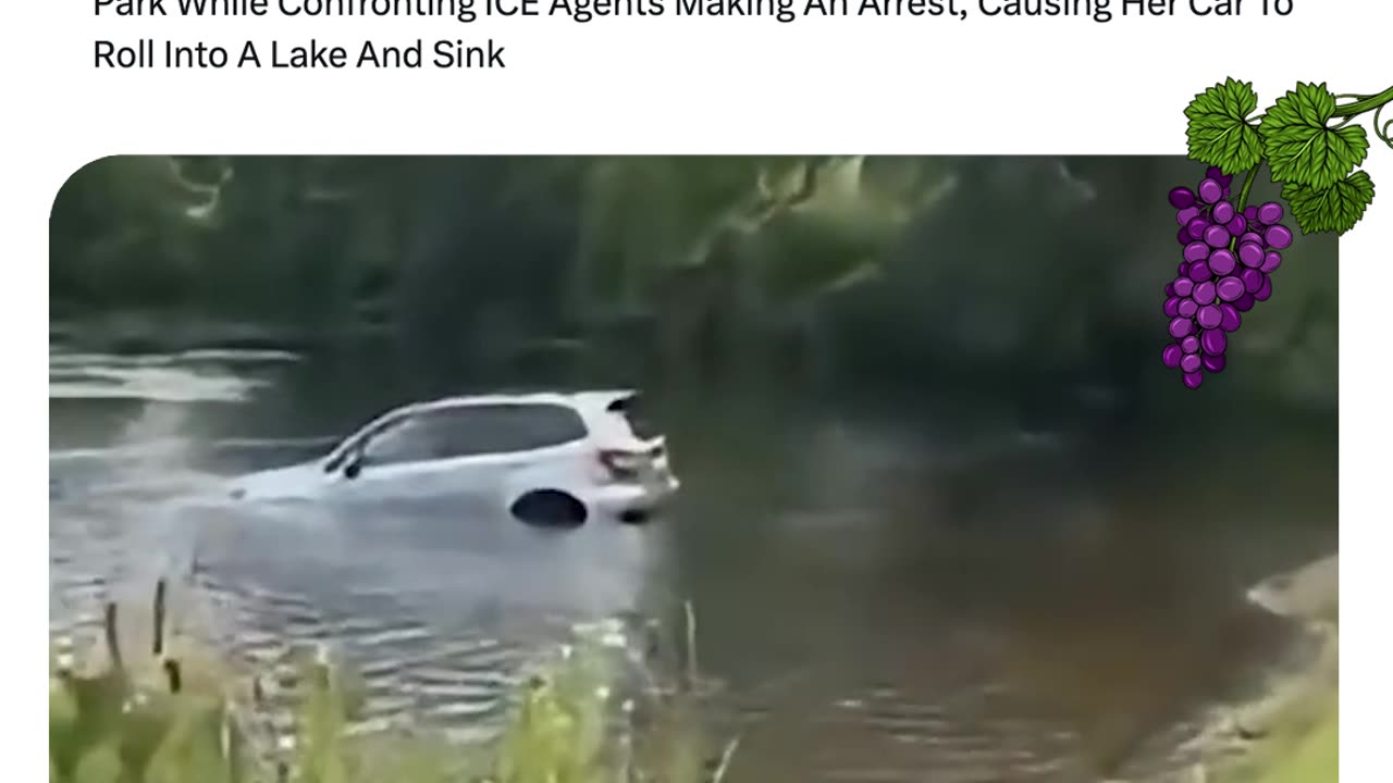 Anti-ICE Protester In Upton, MA Forgets To Park SUV During Arrest, Car Rolls Into Lake And Sinks