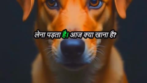 🐶 Kya Chhupi Hai Dog Ki Dimaag Mein? 😂 | Bolta Janwar AI