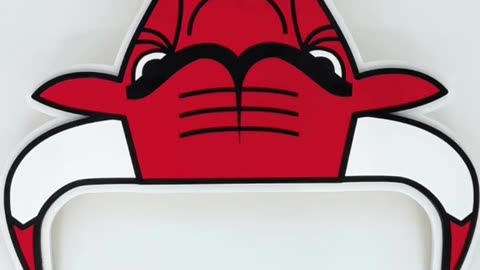 Lifting the Veil 12 (Chicago Bulls Logo)