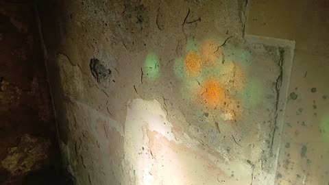 The fire breathing dragon arrived