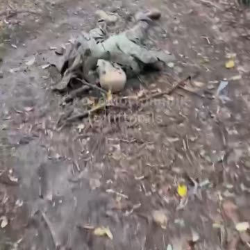 From a subscriber in the South Donetsk