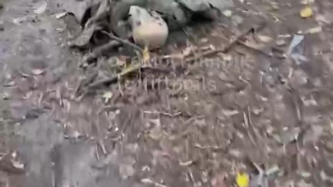 From a subscriber in the South Donetsk