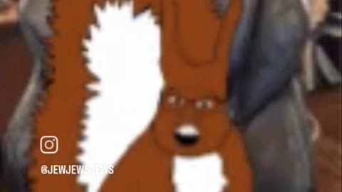 DATZ NUTS