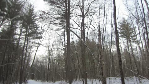 The War between Russia and Ukraine will be over within 3 weeks is my guess.