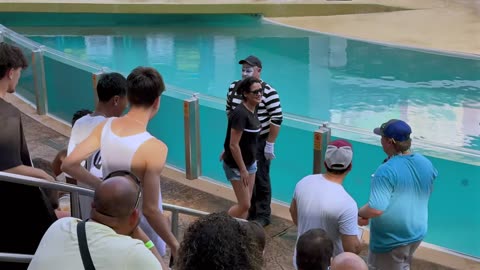 Hilarious seaworld mime performance A must see comedy show