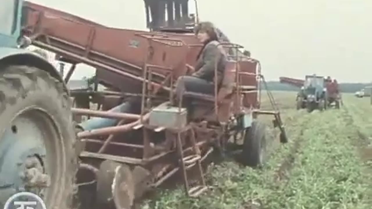 Cosechando El Segundo Pan En La Región De Riazán