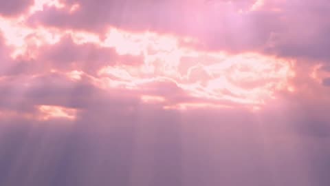 Psalm 119 Part 19 "I have called with my whole heart."