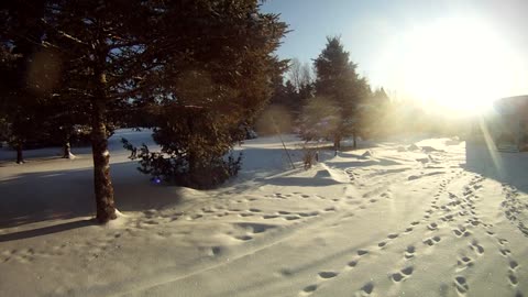 February 7th, 22º