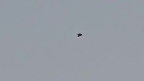 🛸🤔 Unidentified Object Spotted in The Hague—What Is It?! | TheTruthAbove
