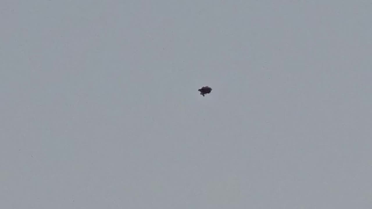 🛸🤔 Unidentified Object Spotted in The Hague—What Is It?! | TheTruthAbove