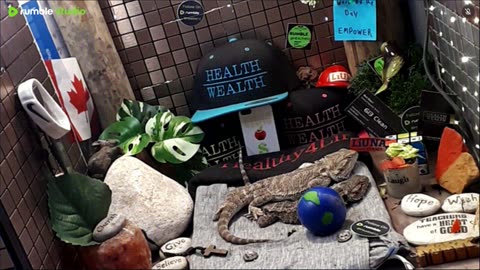 ⭕2025 Live Stream Day 11 Part 2🔴 🍏Healthy4Life🐉 Mascots 🍎🐲 Meet Kobe & Health A Day In The Life Of Bearded Dragons🐲Day11🐉⭕Live🦎Stream🔴