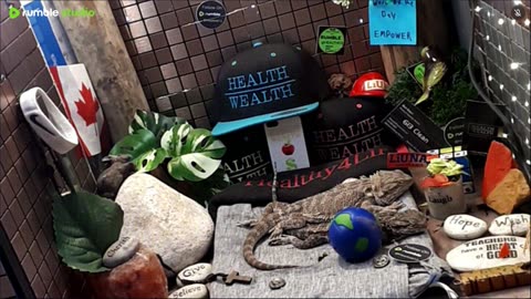 ⭕2025 Live Stream Day 11 Part 2🔴 🍏Healthy4Life🐉 Mascots 🍎🐲 Meet Kobe & Health A Day In The Life Of Bearded Dragons🐲Day11🐉⭕Live🦎Stream🔴