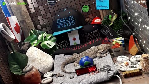 ⭕2025 Live Stream Day 11 Part 2🔴 🍏Healthy4Life🐉 Mascots 🍎🐲 Meet Kobe & Health A Day In The Life Of Bearded Dragons🐲Day11🐉⭕Live🦎Stream🔴