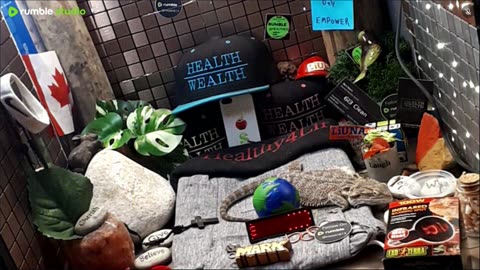 ⭕2025 Live Stream Day 11 Part 2🔴 🍏Healthy4Life🐉 Mascots 🍎🐲 Meet Kobe & Health A Day In The Life Of Bearded Dragons🐲Day11🐉⭕Live🦎Stream🔴