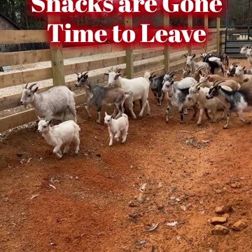 Snacks are gone, time to leave