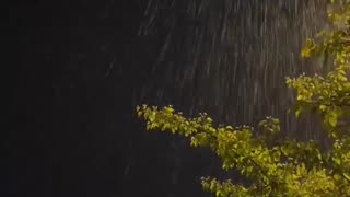 sound of raindrops...