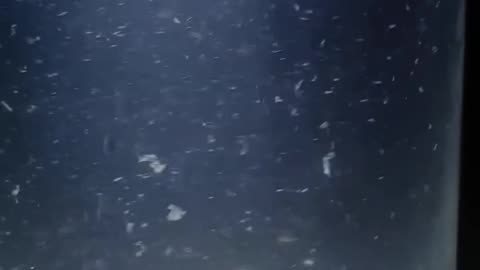 DONT..EAT..THE...SNOW