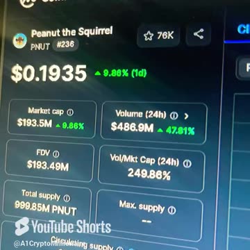 peanut the squirrel pnut crypto price prediction #fyp