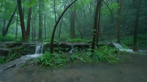 The streams and rain in the valley