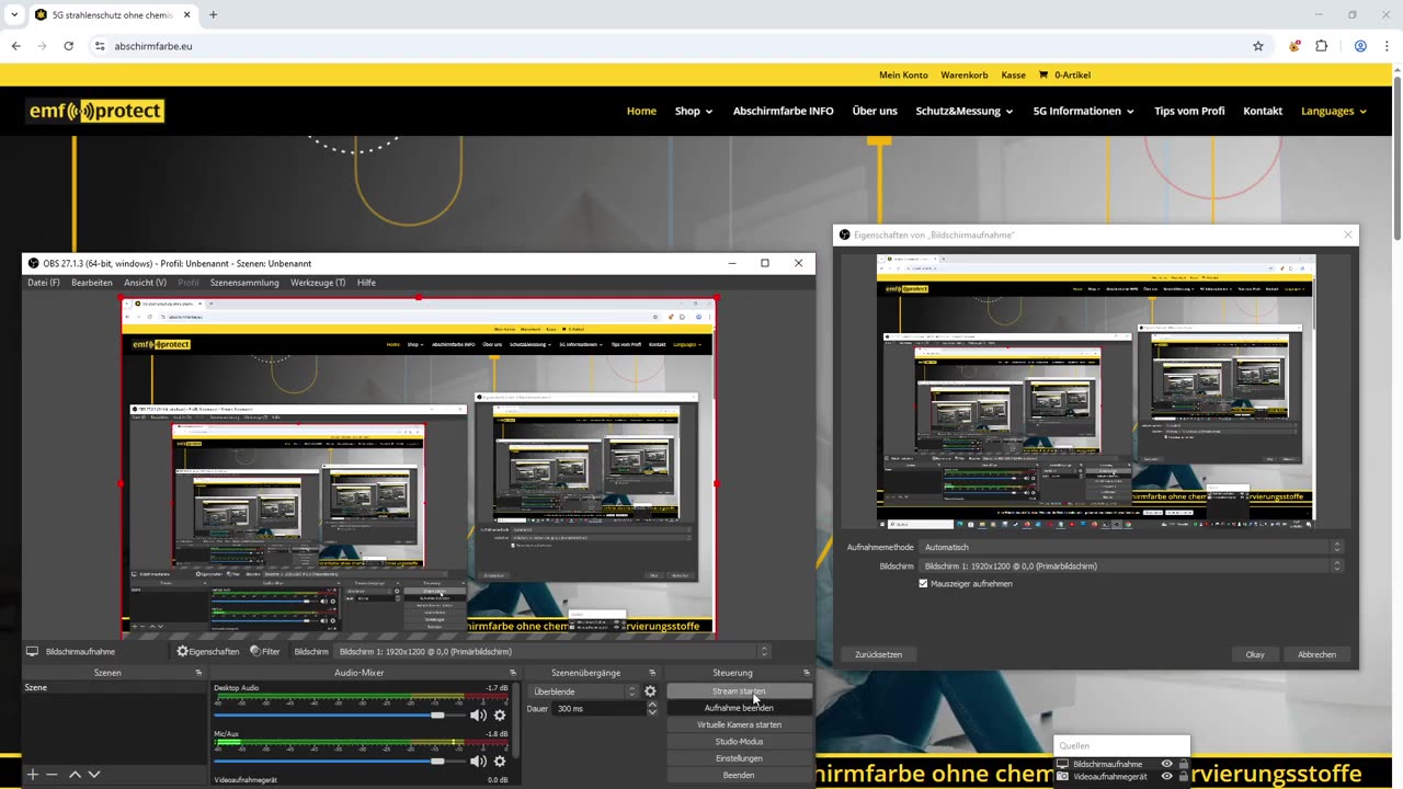 Vortrag über den richtigen Schutz vor Elektrosmog
