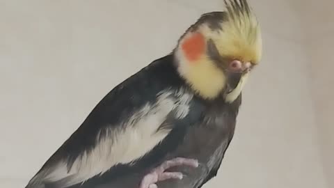 Me on the fridge again.