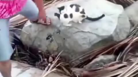 😂😂😂 Mom Teaches Important Lesson After Cheering! | FunFM