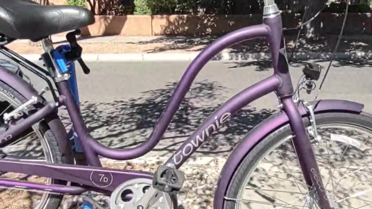 Recreational Bicycle Step Through Cruiser Tune Up by Bosque Mobile Bicycle Repair