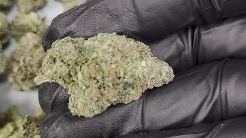 THC-A Flower Memory Loss