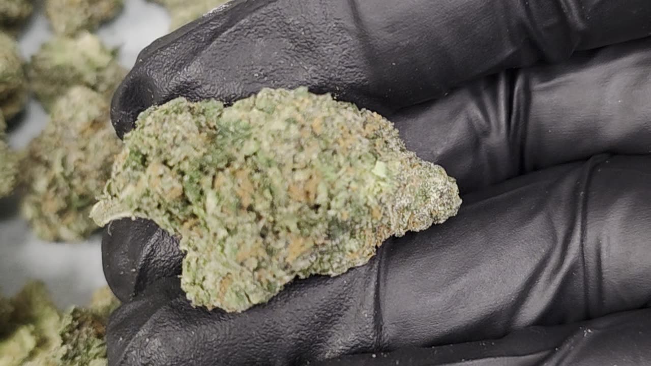 THC-A Flower Memory Loss