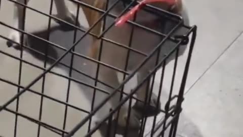 😱👻 Short & Spooky! Ouija & Jinn Encounters | TheHauntingHour