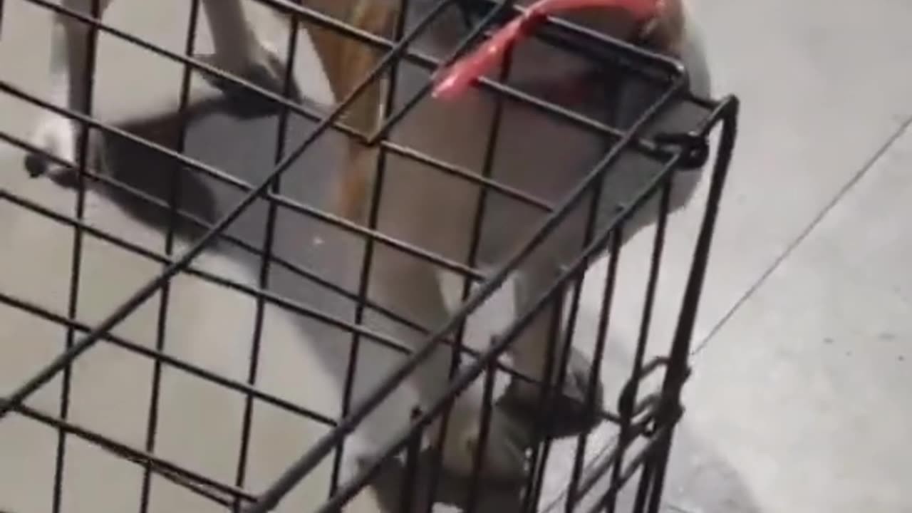 😱👻 Short & Spooky! Ouija & Jinn Encounters | TheHauntingHour