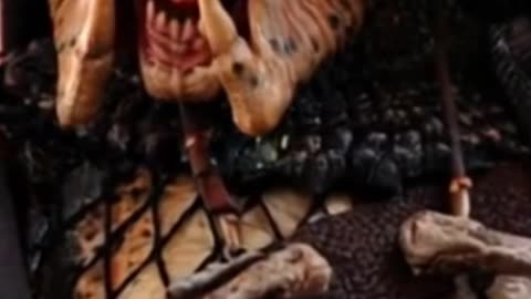 THE GAR OF A PREDATOR.1.