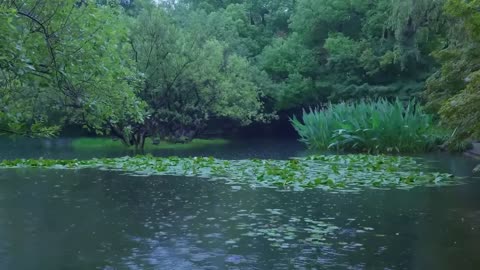 The beautiful little lake is raining