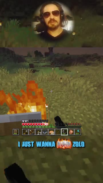 Why did I listen to Zolo