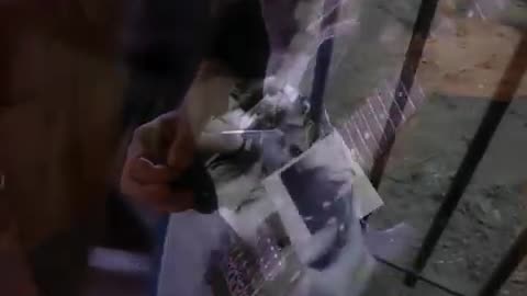 Skid Row - I Remember You