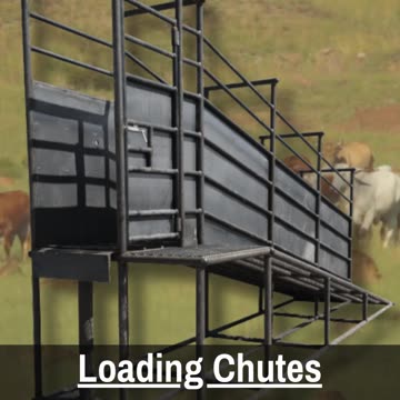 Permanent Livestock Loading Chute