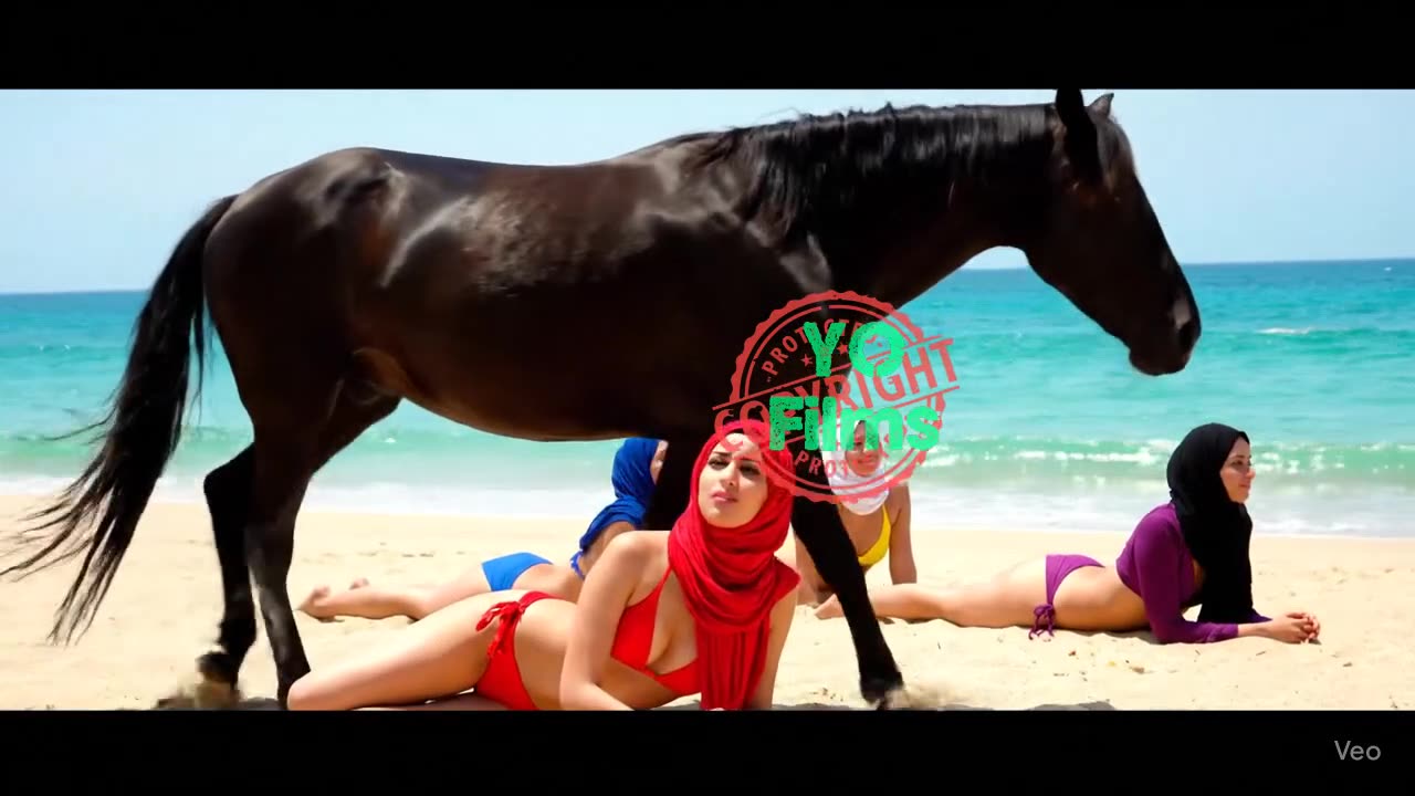 Big horse حصان مجنون