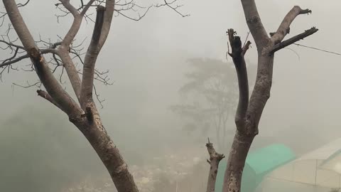 "Mystical Mountain Fog | A Journey Through the Clouds"