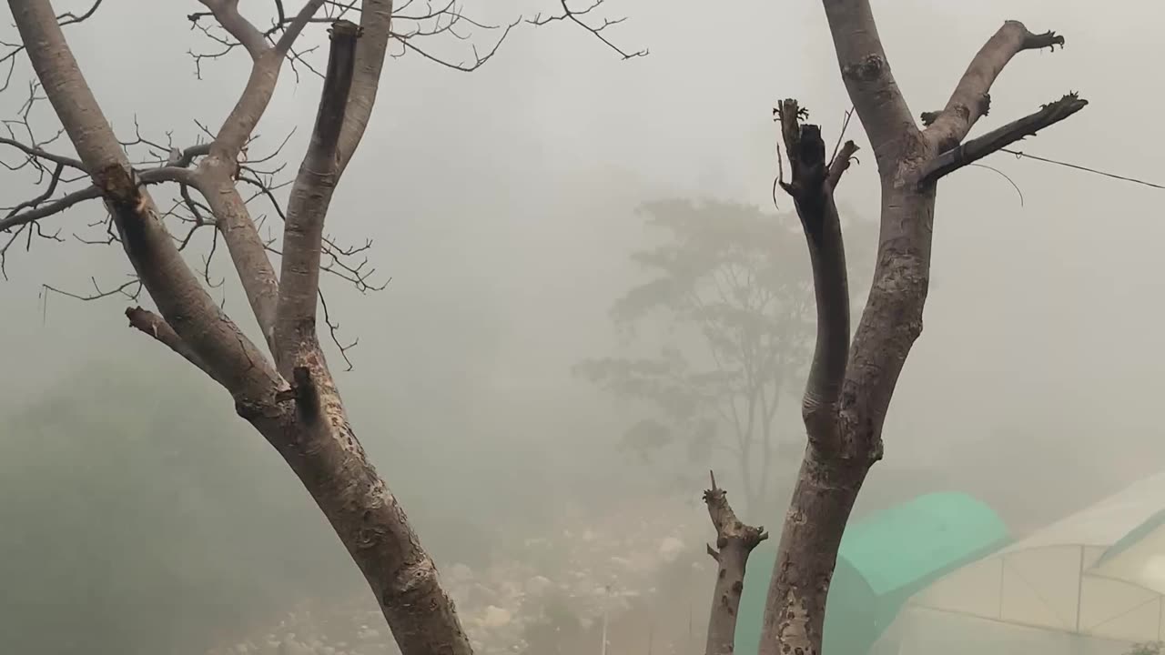 "Mystical Mountain Fog | A Journey Through the Clouds"