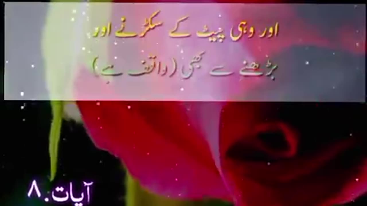 Beshak 💯♥️✨🕊️