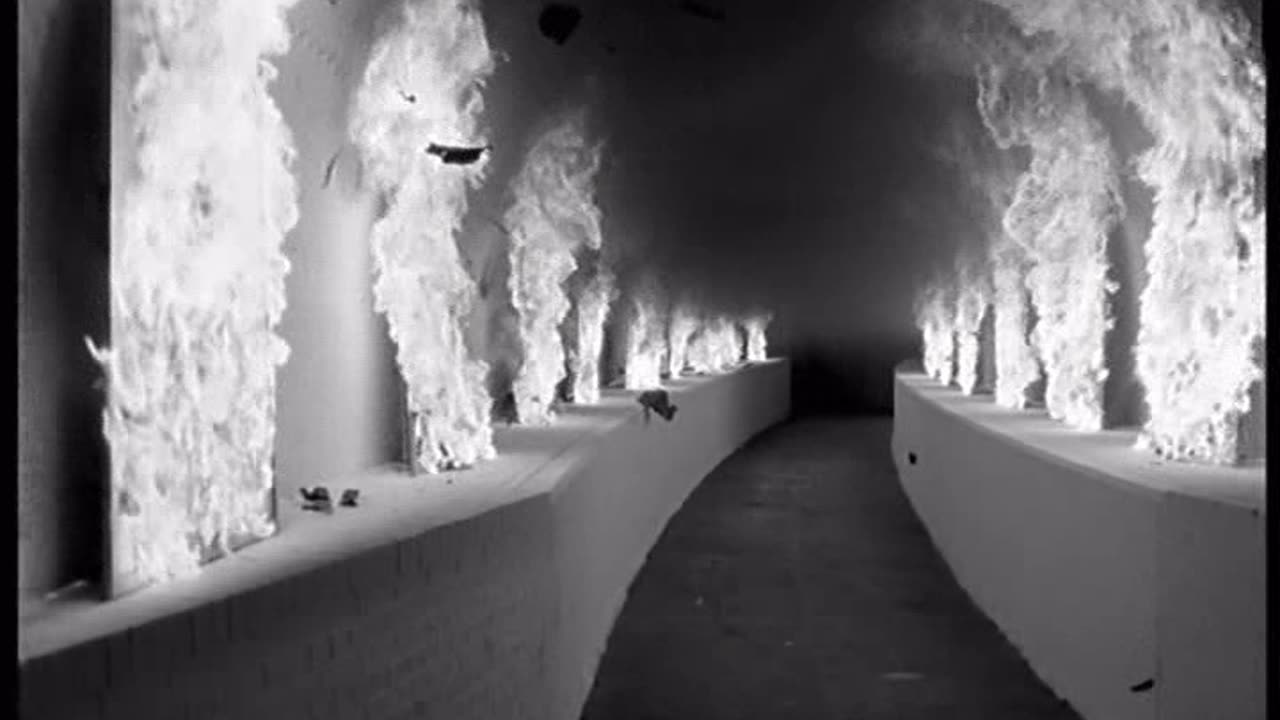 Texas - Black Eyed Boy